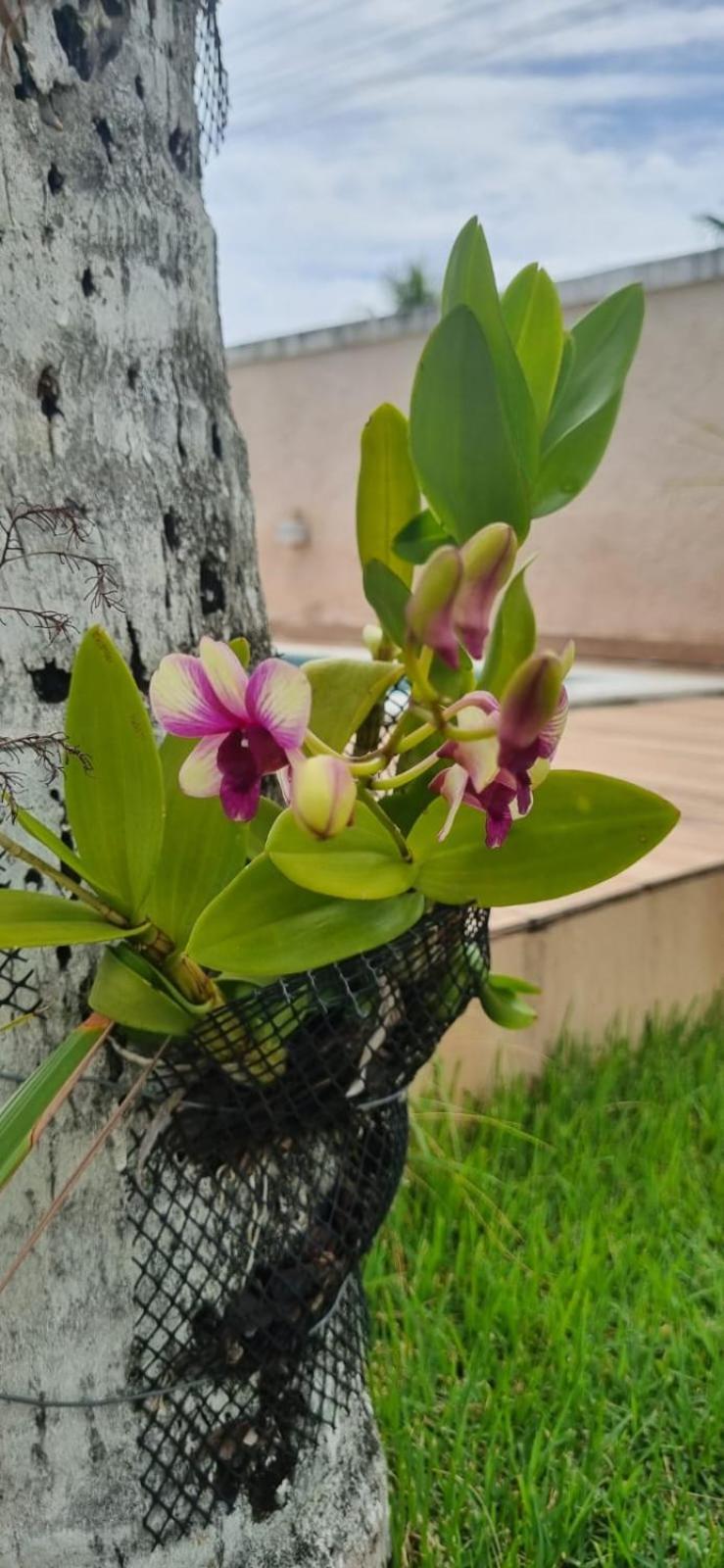 Uma Casa Para O Descanso! Camaçari 外观 照片